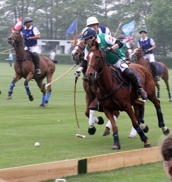 Polo_Art   007.jpg